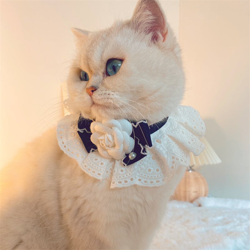 Fashion Cat Lace Neck Pet Collar Bow | Luxury Home Accessories | Heulog Glow