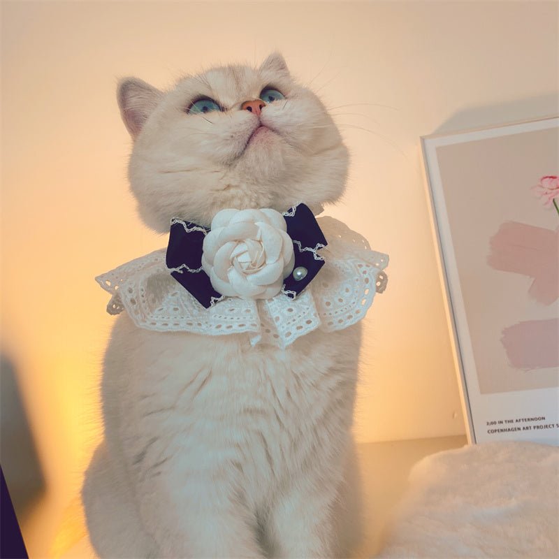 Fashion Cat Lace Neck Pet Collar Bow | Luxury Home Accessories | Heulog Glow