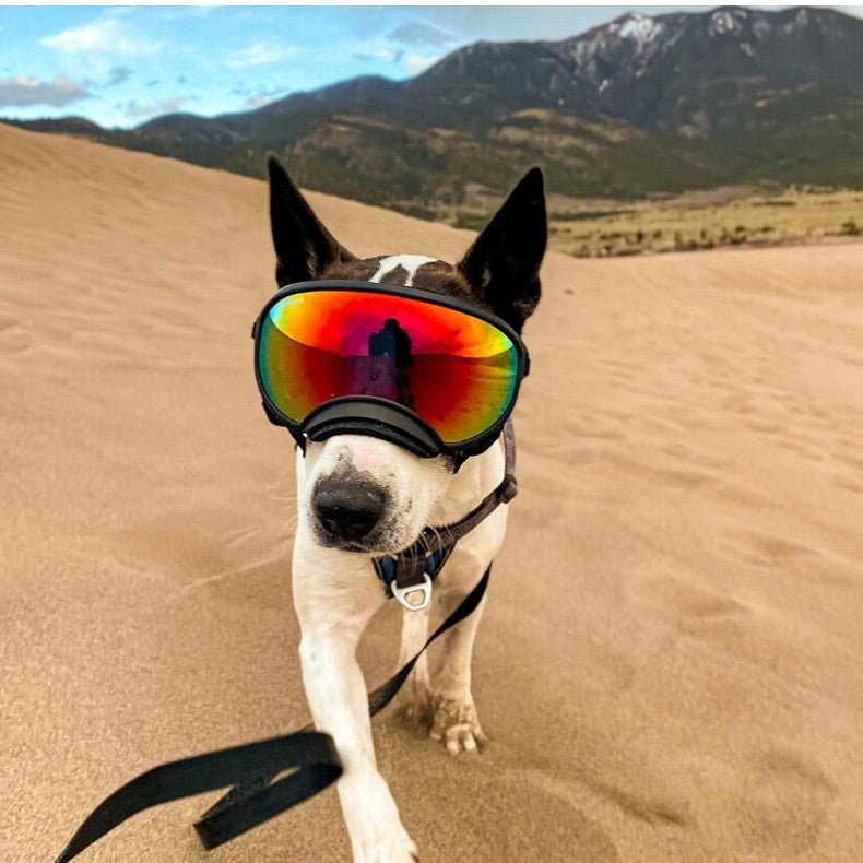 Fashion Personality Dog Skiing Goggles | Luxury Home Accessories | Heulog Glow