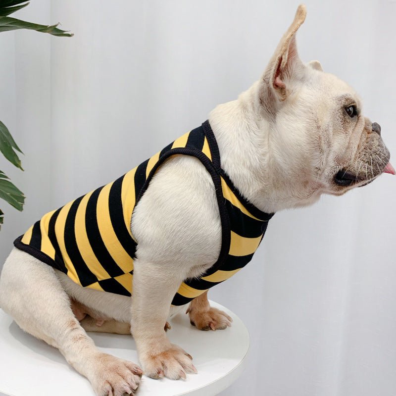 Fashionable And Personalized Dog Summer Clothes Thin Section | Luxury Home Accessories | Heulog Glow