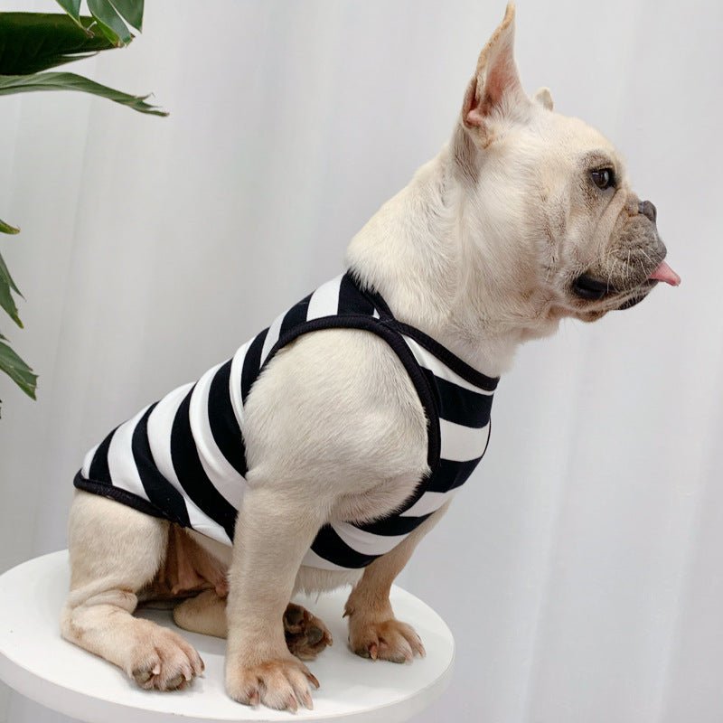 Fashionable And Personalized Dog Summer Clothes Thin Section | Luxury Home Accessories | Heulog Glow
