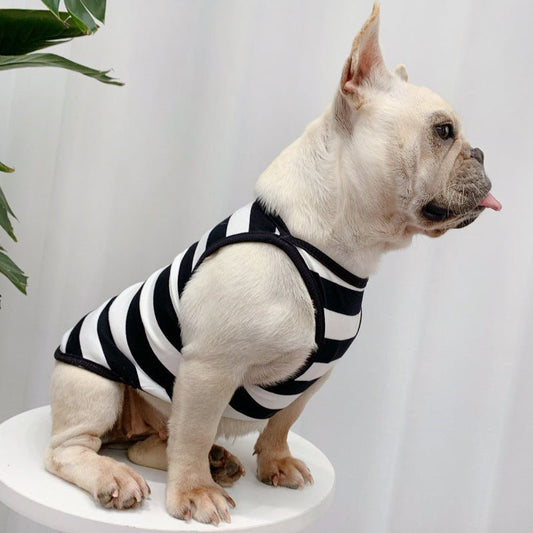 Fashionable And Personalized Dog Summer Clothes Thin Section | Luxury Home Accessories | Heulog Glow