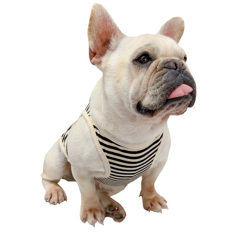 Fashionable And Personalized Dog Summer Clothes Thin Section | Luxury Home Accessories | Heulog Glow