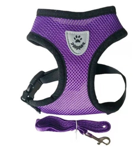 Fashionable High-end Multi-color Dog Harness | Luxury Home Accessories | Heulog Glow