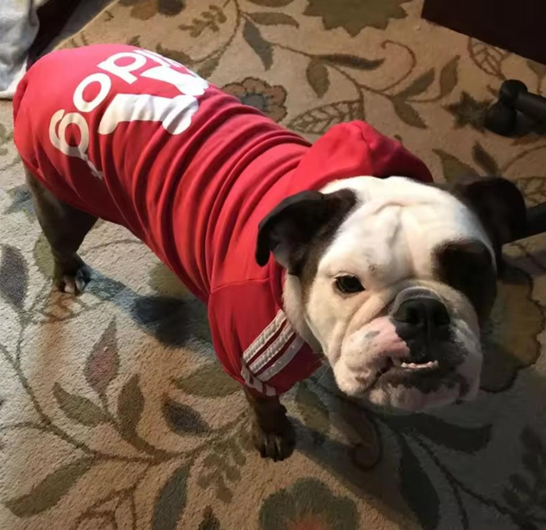 Footy Dog Hoody! | Luxury Home Accessories | Heulog Glow