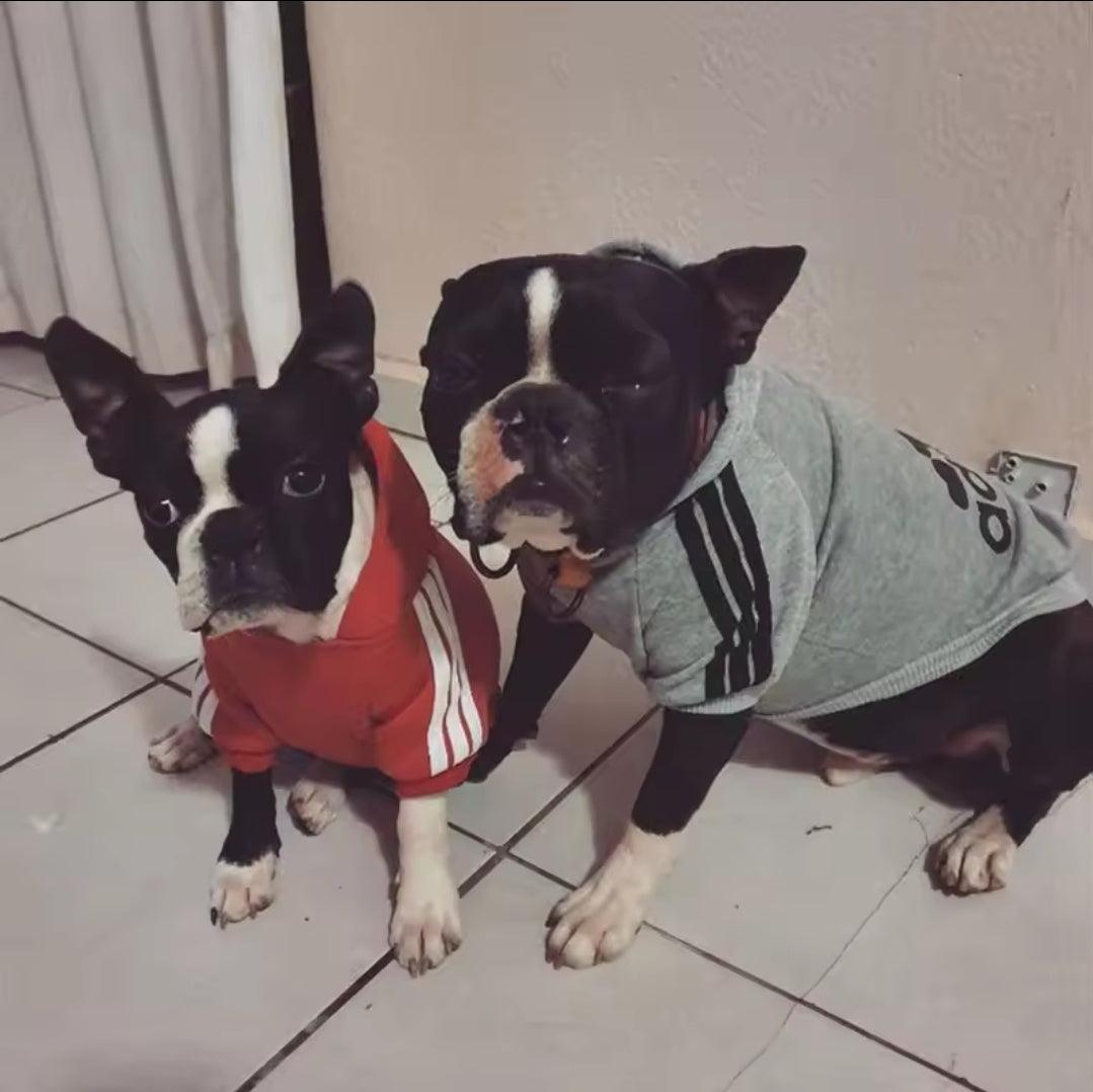 Footy Dog Hoody! | Luxury Home Accessories | Heulog Glow