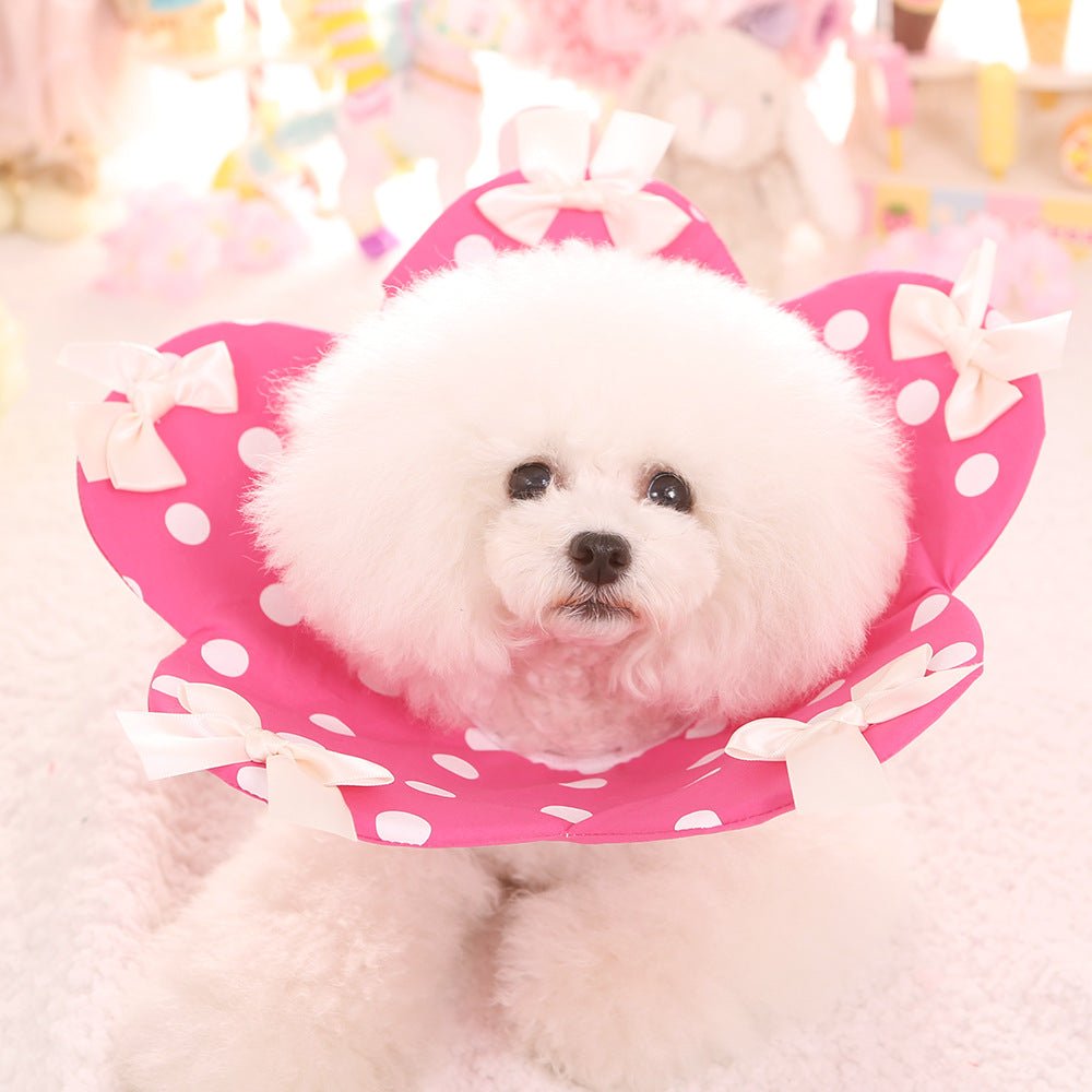 Four Seasons New Flower Elizabethan Ring Teddy Pet Dog Anti-bite Ring Fold | Luxury Home Accessories | Heulog Glow