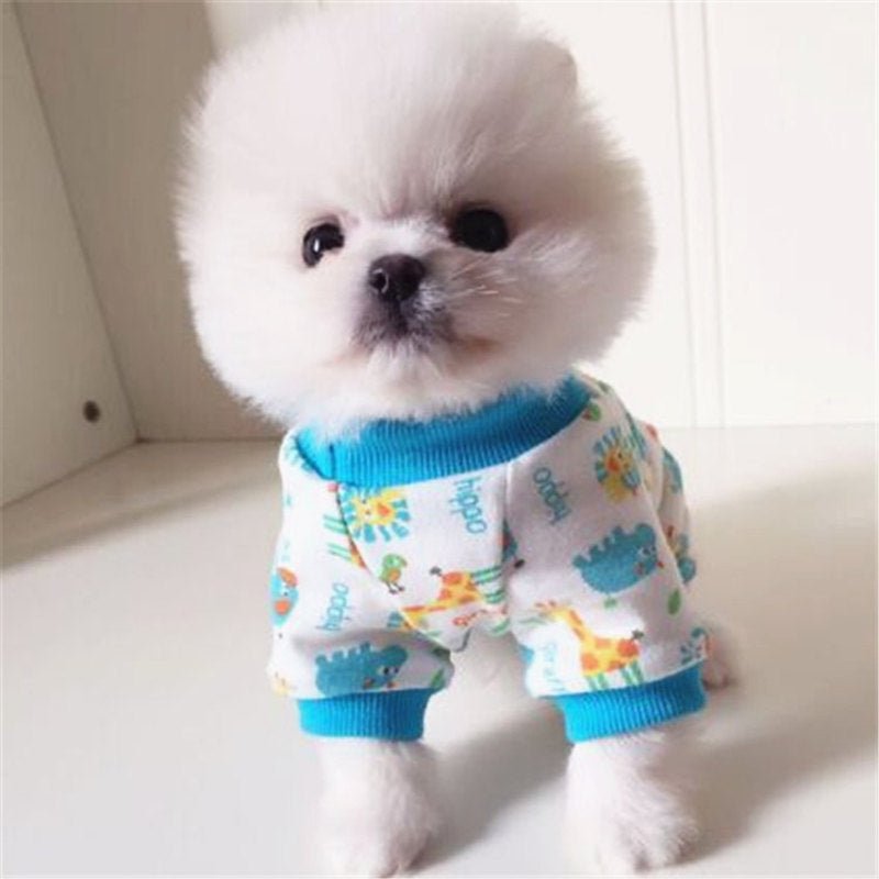 Four seasons stretch clothes for dogs | Luxury Home Accessories | Heulog Glow