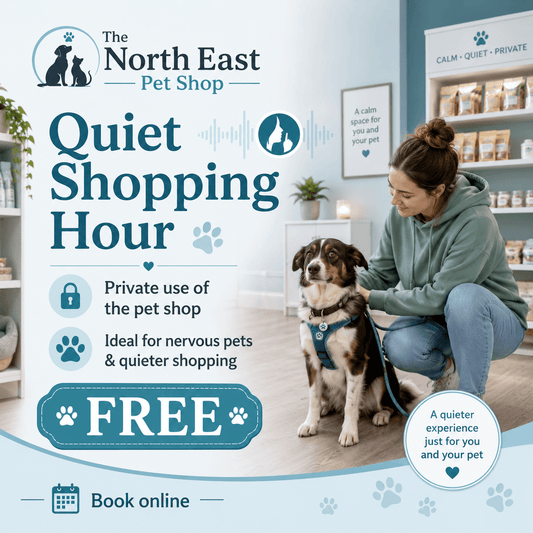 Free Private Quiet Shopping Hour – Exclusive Pet Shop Booking | Luxury Home Accessories | Heulog Glow