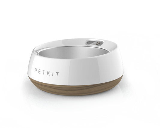 Fresh Metal Pet Smart Bowl | Luxury Home Accessories | Heulog Glow