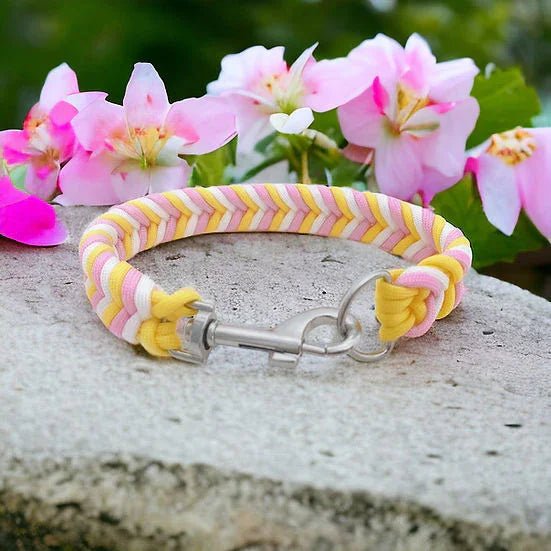 Fruit Salad - Handmade Paracord Dog Collar | Luxury Home Accessories | Heulog Glow