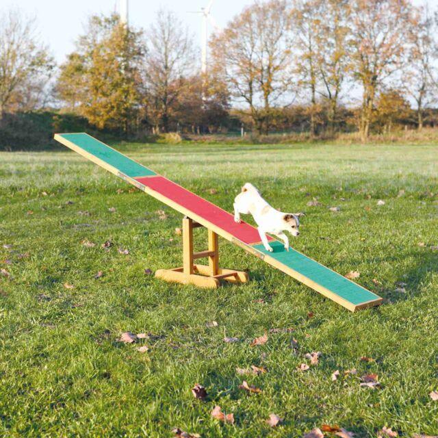 Fun Agility seesaw | Luxury Home Accessories | Heulog Glow