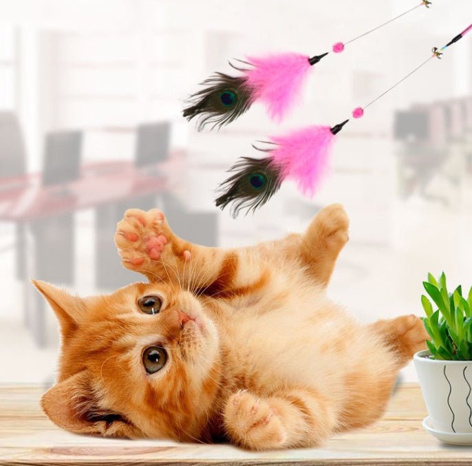Funny Cat Stick Bite-Resistant Feather Long Rod Funny Cat Stick | Luxury Home Accessories | Heulog Glow