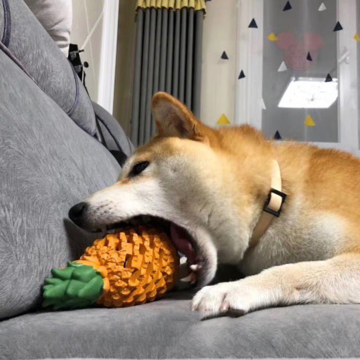 Funny Fruits Shape Dog Toy Pet Teeth Clean Molar Teeth Chew Bite Pet Toys Pets Products Gift | Luxury Home Accessories | Heulog Glow