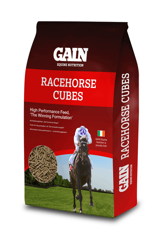 Gain Racehorse Cubes | Luxury Home Accessories | Heulog Glow