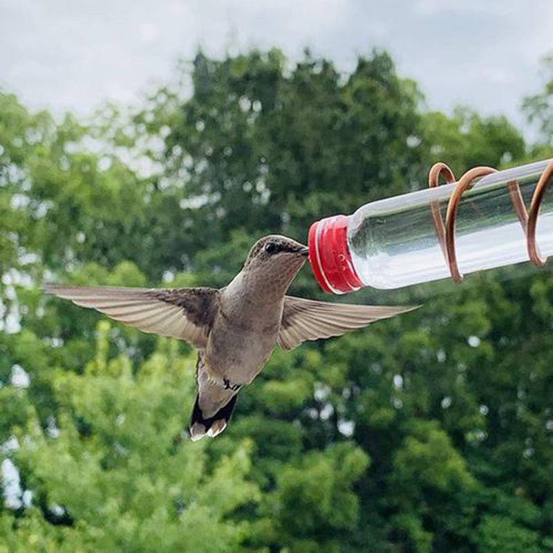 Garden Bird Feeder Supplies Hummingbird Feeder Drinker Suction Cup Easy To Clean Deck Garden Decor Bird Feeders for Wild Birds | Luxury Home Accessories | Heulog Glow