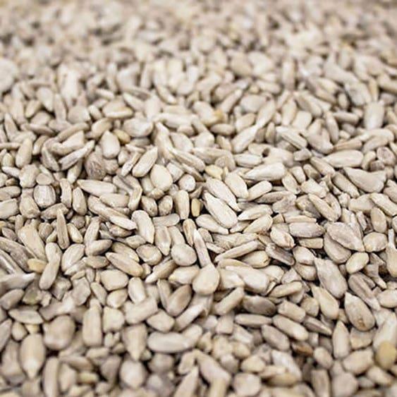 Gardman Flip Top Sunflower Heart Feeder (WITH 1KG SUNFLOWER HEARTS) | Luxury Home Accessories | Heulog Glow