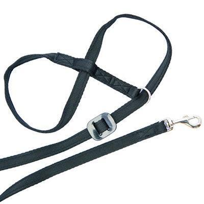 Gencon All In1 Clip to Collar Left Black | Luxury Home Accessories | Heulog Glow