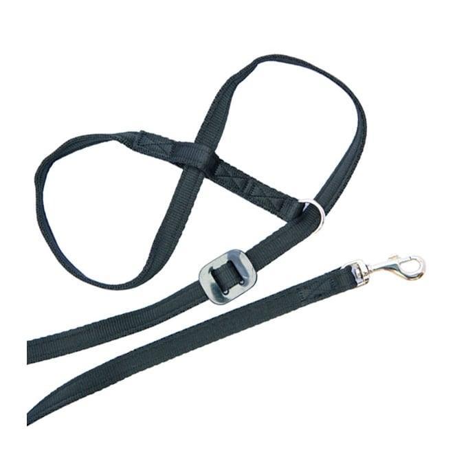 Gencon All In1 Clip to Collar Rght Black | Luxury Home Accessories | Heulog Glow