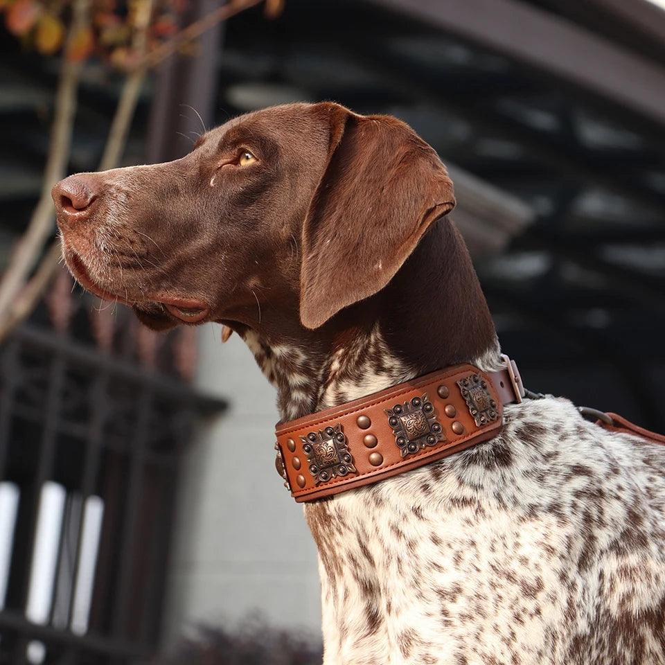 Genuine Leather Classic Collar | Luxury Home Accessories | Heulog Glow