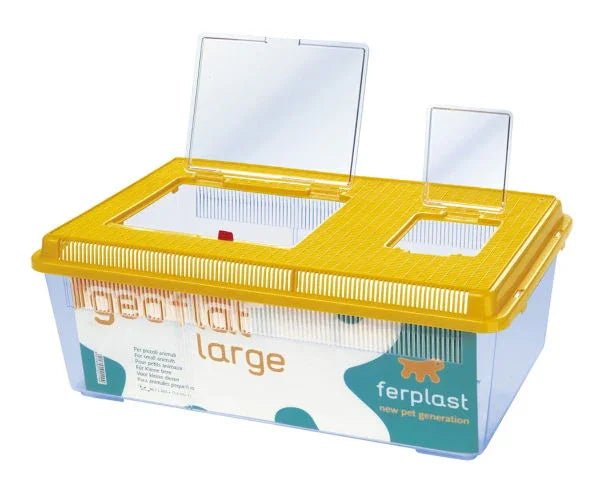 Geo Plastic Tank Flat Lge Mixed Colours 46.7x30.5x17.5cm | Luxury Home Accessories | Heulog Glow