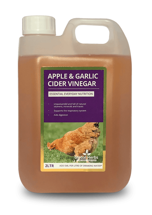 Global H Apple & Garlic Cider Vinegar(C) | Luxury Home Accessories | Heulog Glow