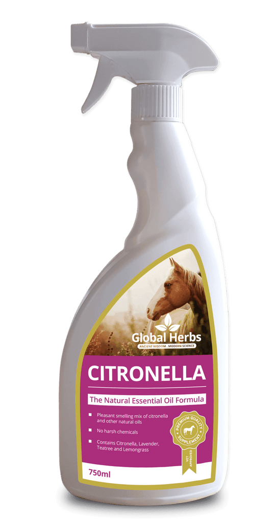 Global H Citronella Spray | Luxury Home Accessories | Heulog Glow