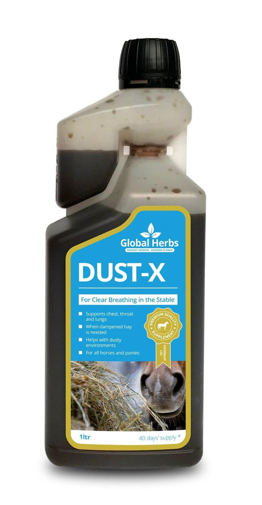 Global H Dust-X Syrup | Luxury Home Accessories | Heulog Glow