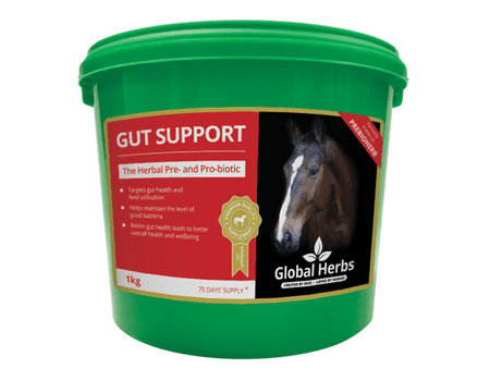 Global H Gut Support | Luxury Home Accessories | Heulog Glow
