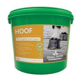 Global H Hoof | Luxury Home Accessories | Heulog Glow