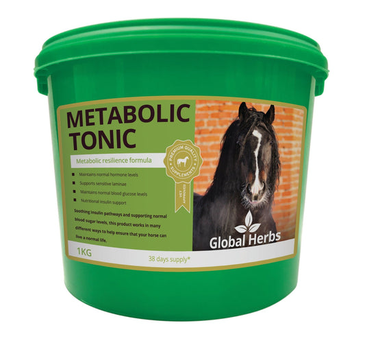 Global H Metabolic Tonic | Luxury Home Accessories | Heulog Glow