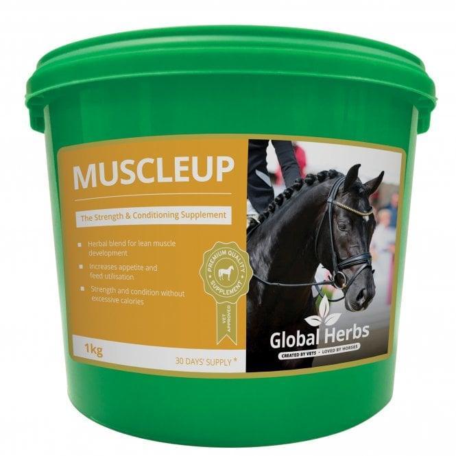 Global H Muscle Up | Luxury Home Accessories | Heulog Glow
