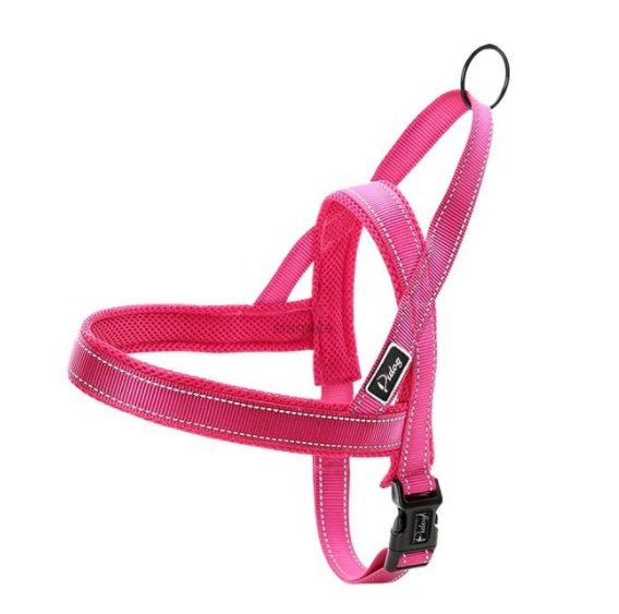 Glow Castle Pet Supplies Quick Fit Quick Fit Dog Chest Back Quick Wear Chest Strap | Luxury Home Accessories | Heulog Glow