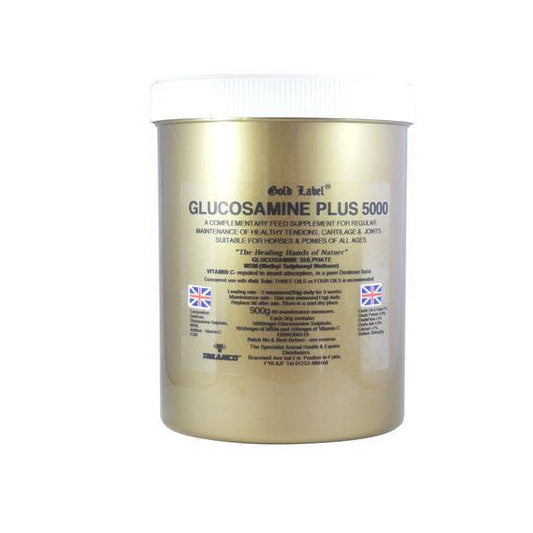 Gold Label Glucosamine Plus 5000 | Luxury Home Accessories | Heulog Glow