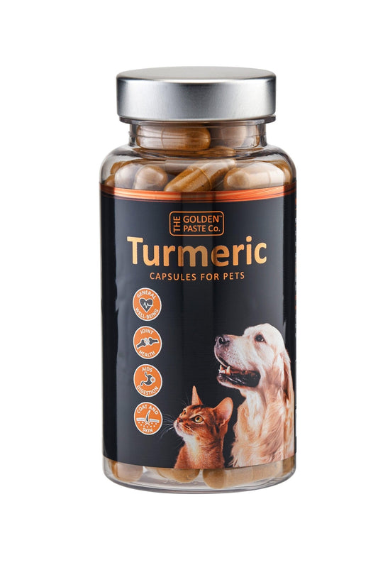 Golden Paste Turmeric for Pets 90 Capsules | Luxury Home Accessories | Heulog Glow