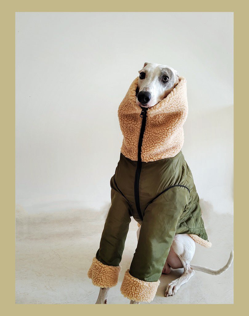 Greyhounds Whippet Super Thick Lamb Fleece Two-wear Coat | Luxury Home Accessories | Heulog Glow