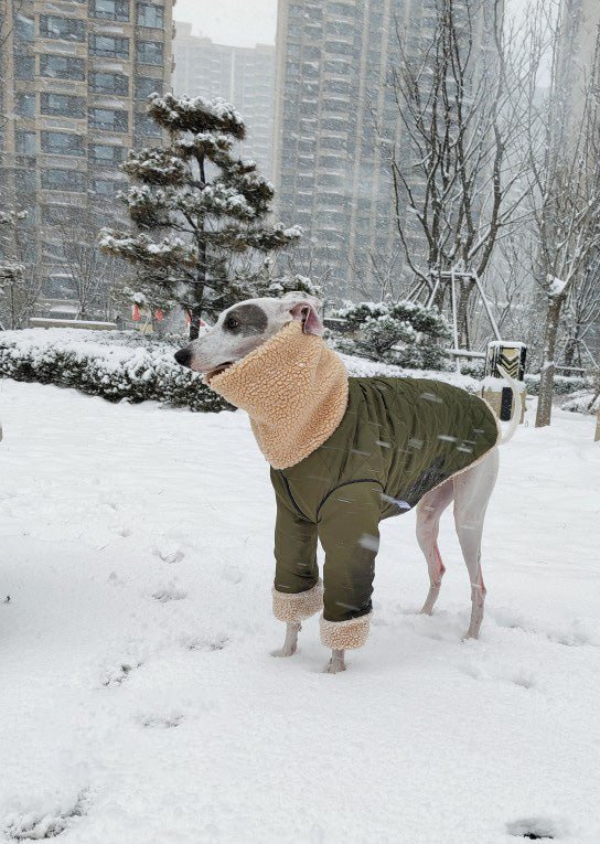 Greyhounds Whippet Super Thick Lamb Fleece Two-wear Coat | Luxury Home Accessories | Heulog Glow