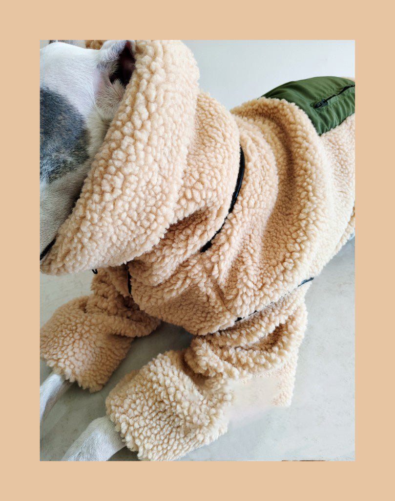 Greyhounds Whippet Super Thick Lamb Fleece Two-wear Coat | Luxury Home Accessories | Heulog Glow