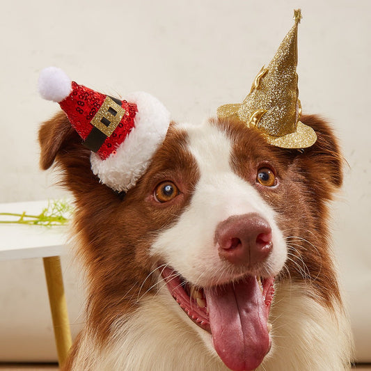 Halloween Hairpin Christmas Hat Witch Hat Dog Headdress Hat | Luxury Home Accessories | Heulog Glow