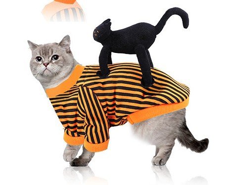 Halloween Pet Funny Black Skull Horror Make-up Cat Accessories Pet Dress Up Costume | Luxury Home Accessories | Heulog Glow
