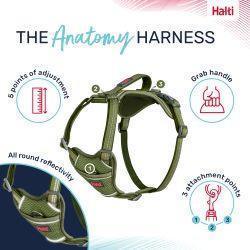 Halti Anatomy Harness Green | Luxury Home Accessories | Heulog Glow