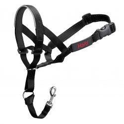 HALTI Headcollar - Black | Luxury Home Accessories | Heulog Glow
