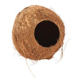 Hamster Coconut Hut | Luxury Home Accessories | Heulog Glow
