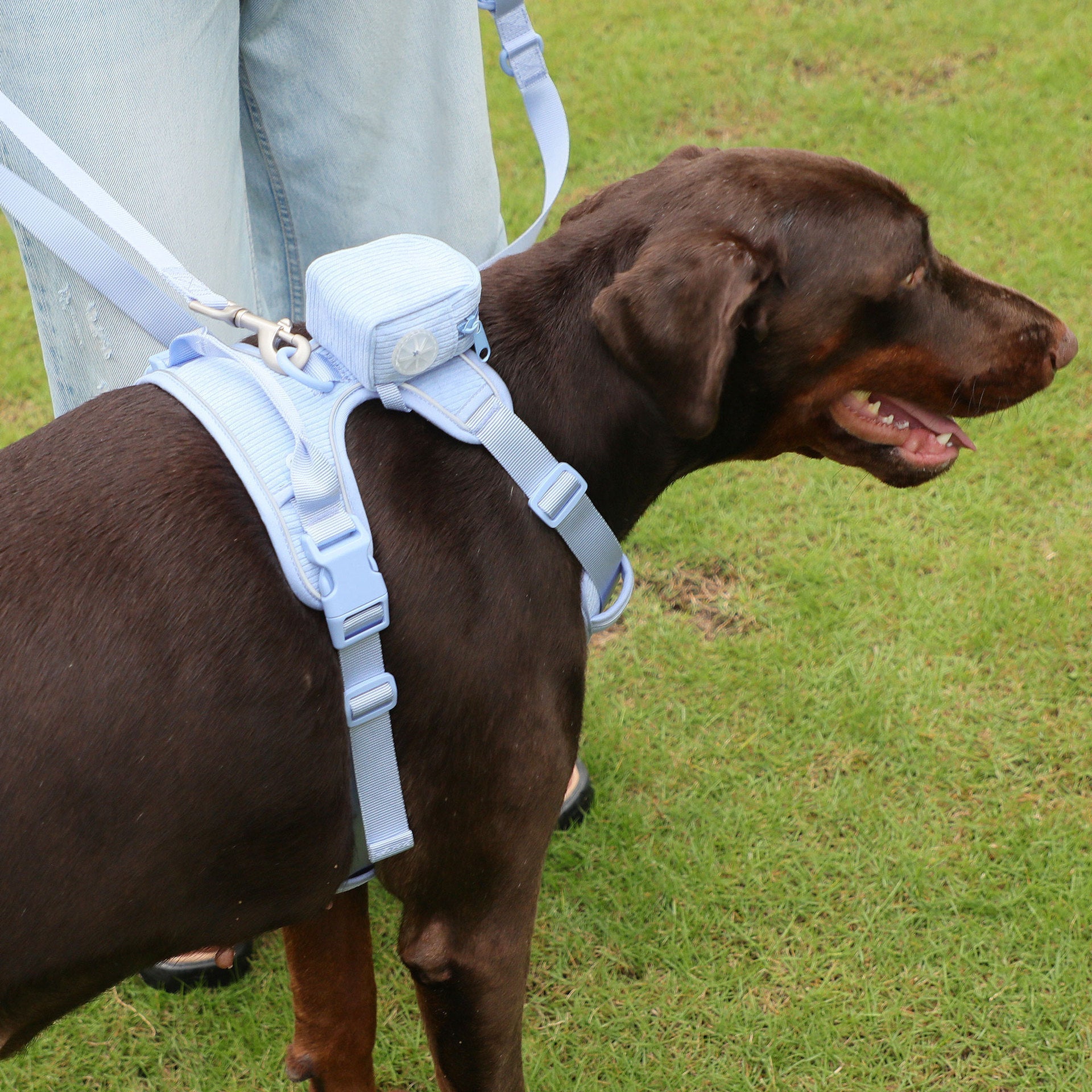 Hand Holding Rope Explosion-proof Chest Back Suit Widened Pet Collar Mini Schoolbag Dog Stool Bag | Luxury Home Accessories | Heulog Glow