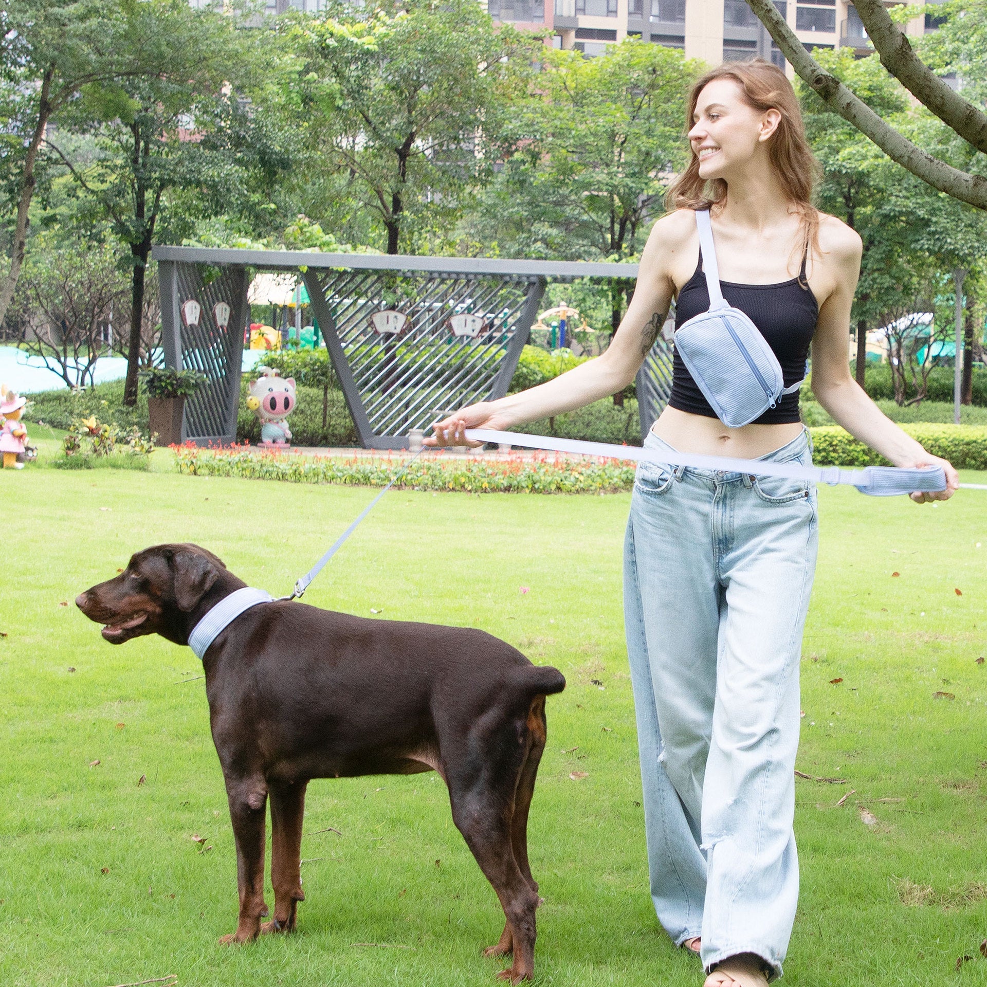 Hand Holding Rope Explosion-proof Chest Back Suit Widened Pet Collar Mini Schoolbag Dog Stool Bag | Luxury Home Accessories | Heulog Glow