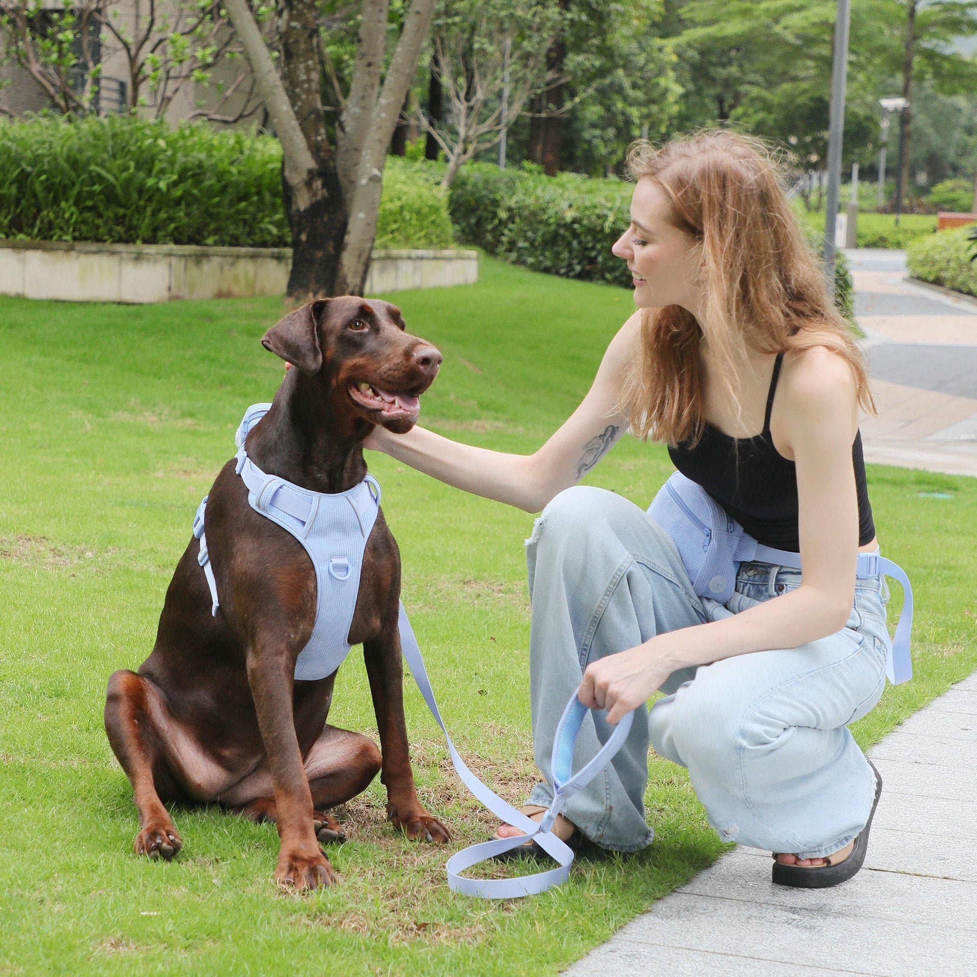 Hand Holding Rope Explosion-proof Chest Back Suit Widened Pet Collar Mini Schoolbag Dog Stool Bag | Luxury Home Accessories | Heulog Glow