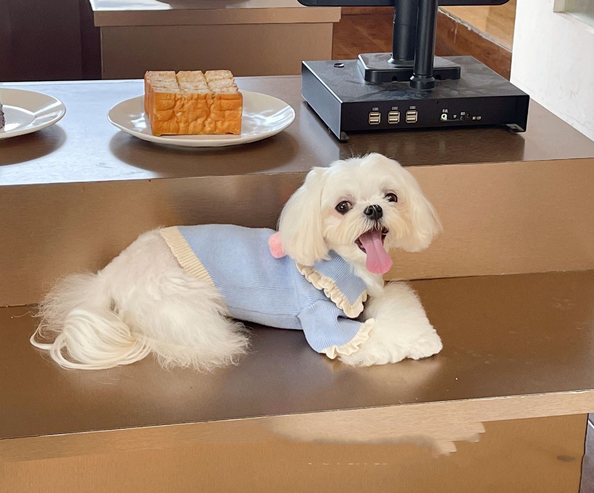 Handmade Strawberry Ball Wool Coat Dog To Keep Warm | Luxury Home Accessories | Heulog Glow