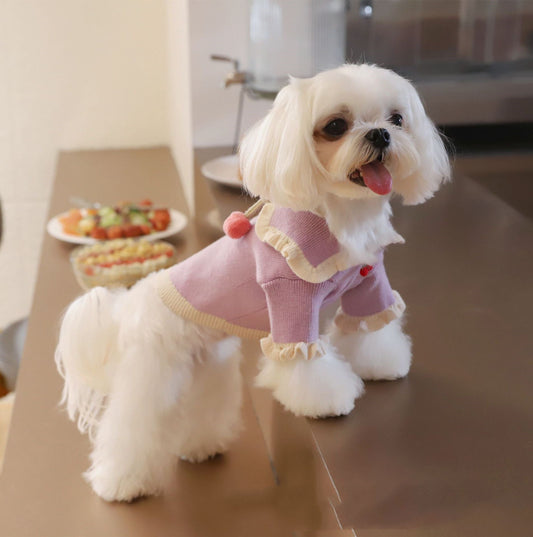Handmade Strawberry Ball Wool Coat Dog To Keep Warm | Luxury Home Accessories | Heulog Glow
