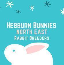 Hebburn Bunnies - Rabbit Balance | Luxury Home Accessories | Heulog Glow
