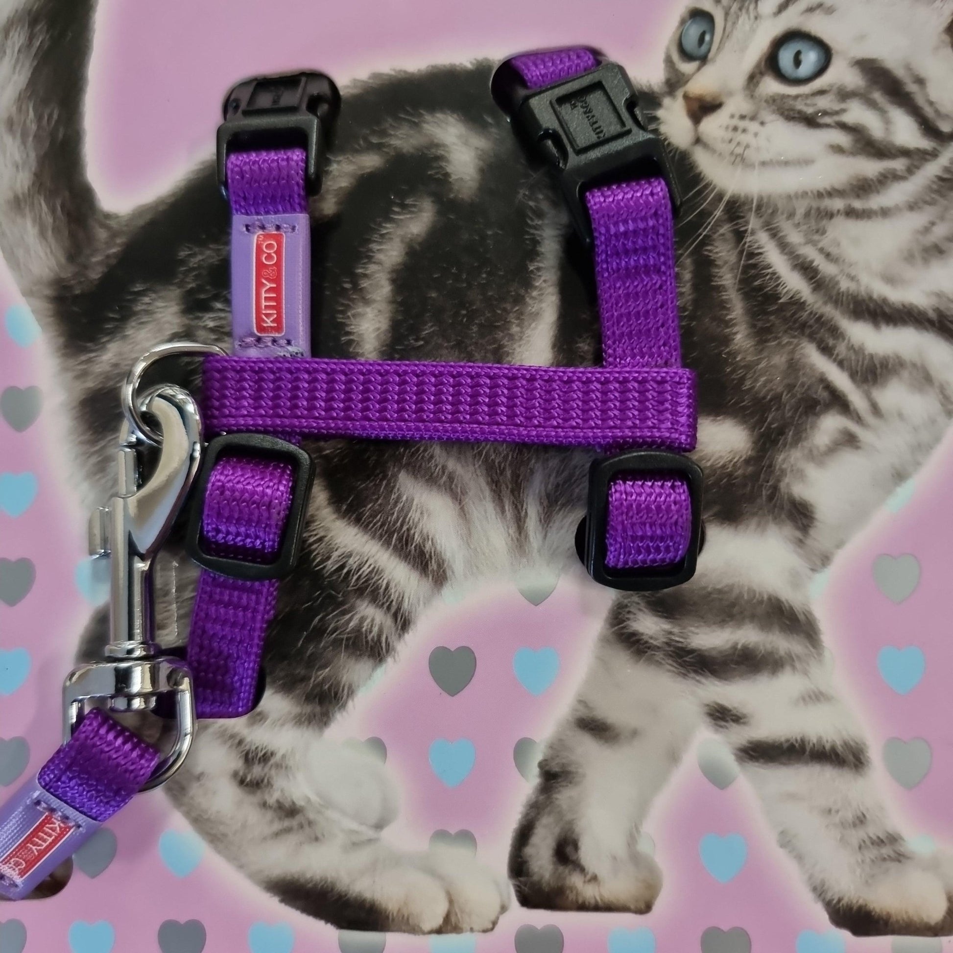Hemm & Boo Snagfree Kitten Harness | Luxury Home Accessories | Heulog Glow